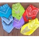 Bandana